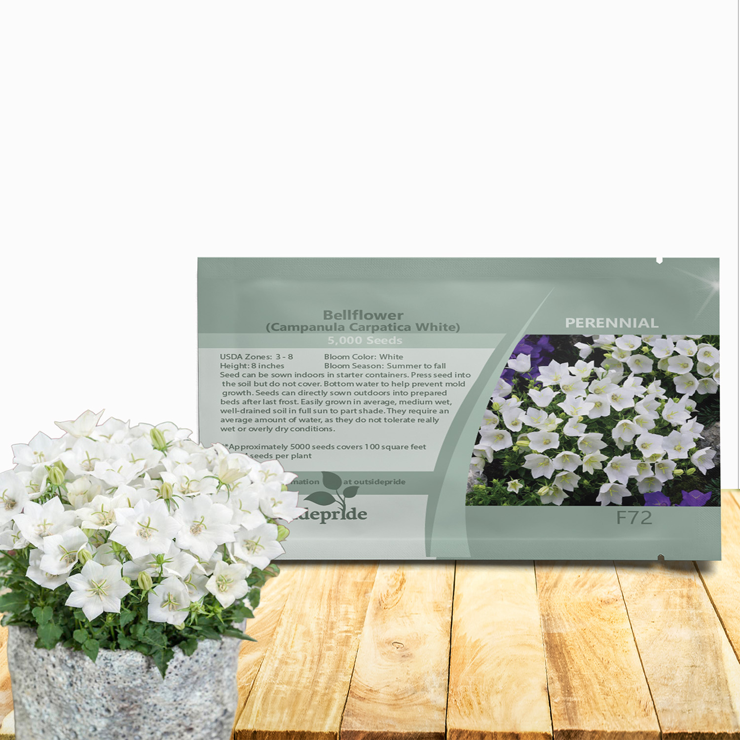 Bellflower White Seed Packet