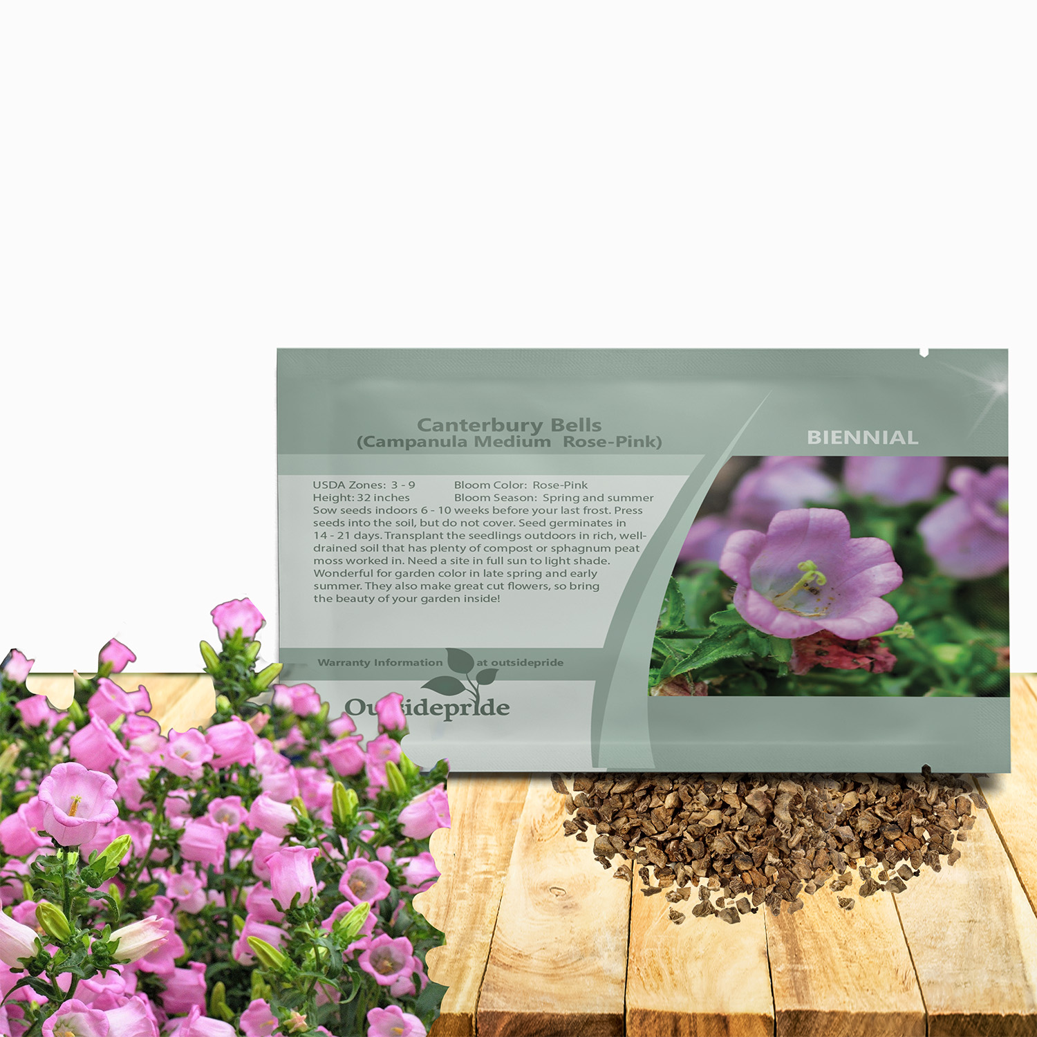Campanula Medium Rose-pink Seed Packet For Planting