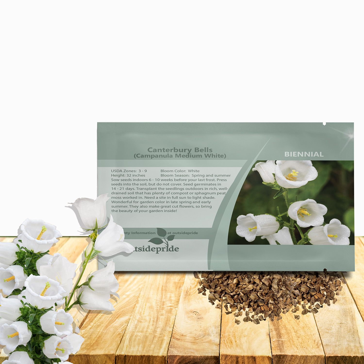 Canterbury Bells White Seed Packet For Planting