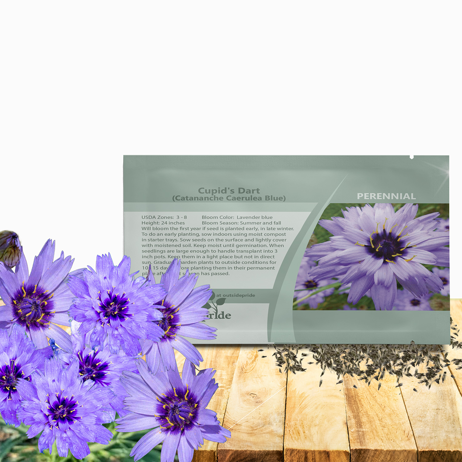 Cupids Dart Blue Flower Seed Packet For Planting