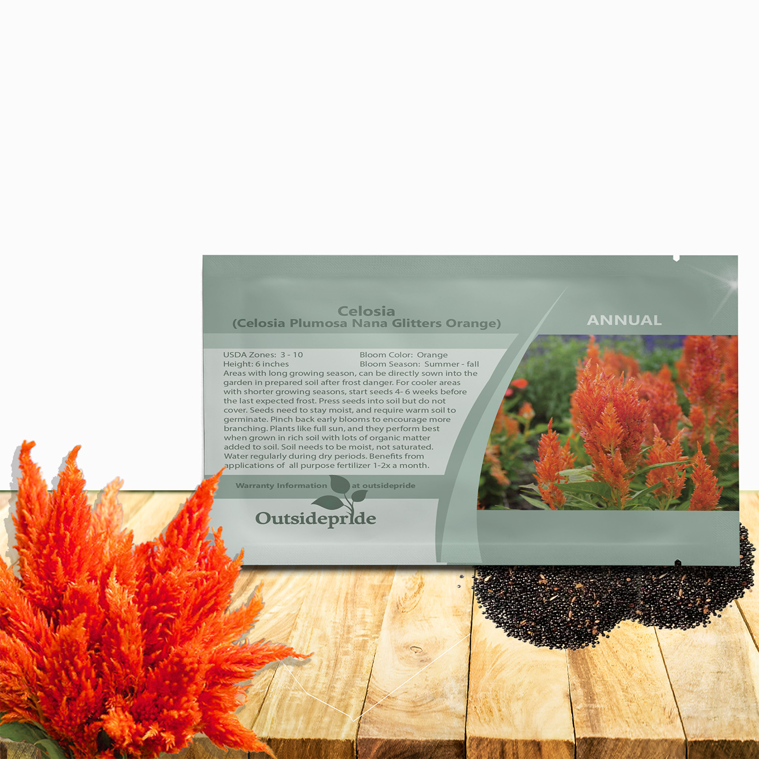 Celosia Plumosa Orange Seed Packet For Planting