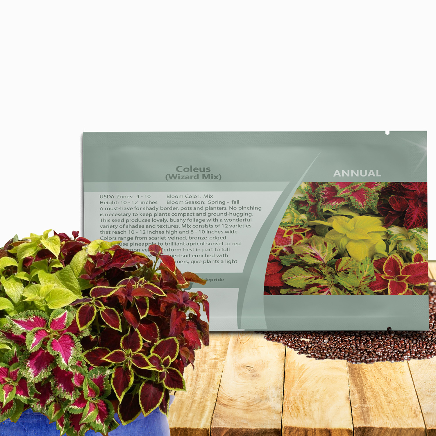 Coleus Wizard Seed Packet