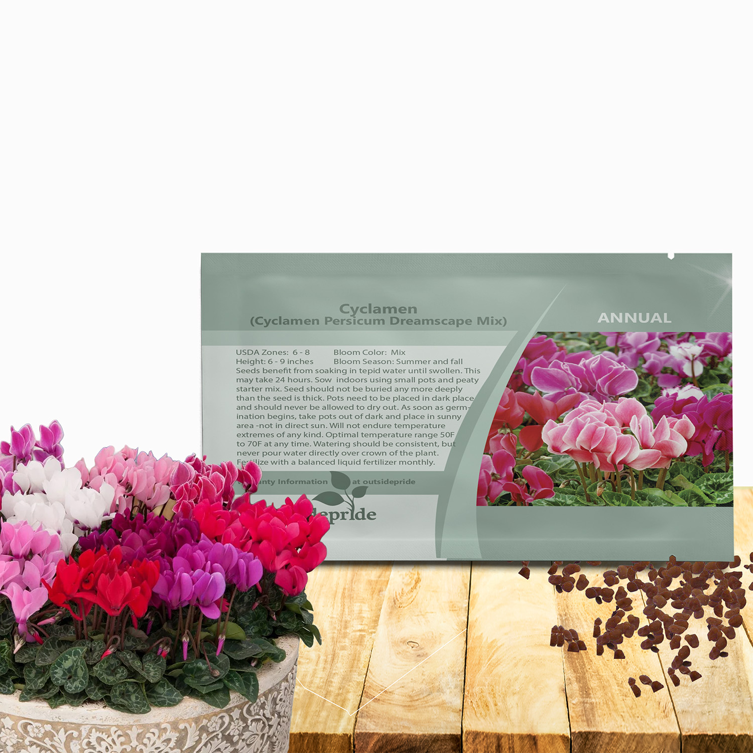 Cyclamen Dreamscape Flower Seed Mix Packet For Planting