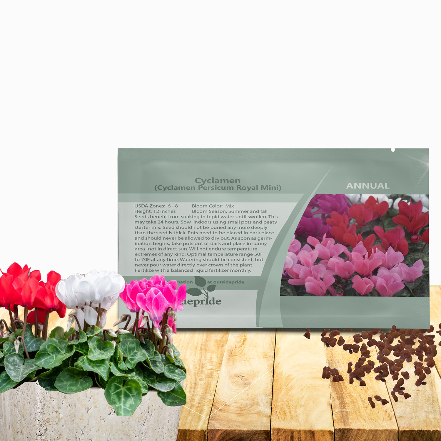 Cyclamen Royal Mini Flower Seed Mix Packet For Planting
