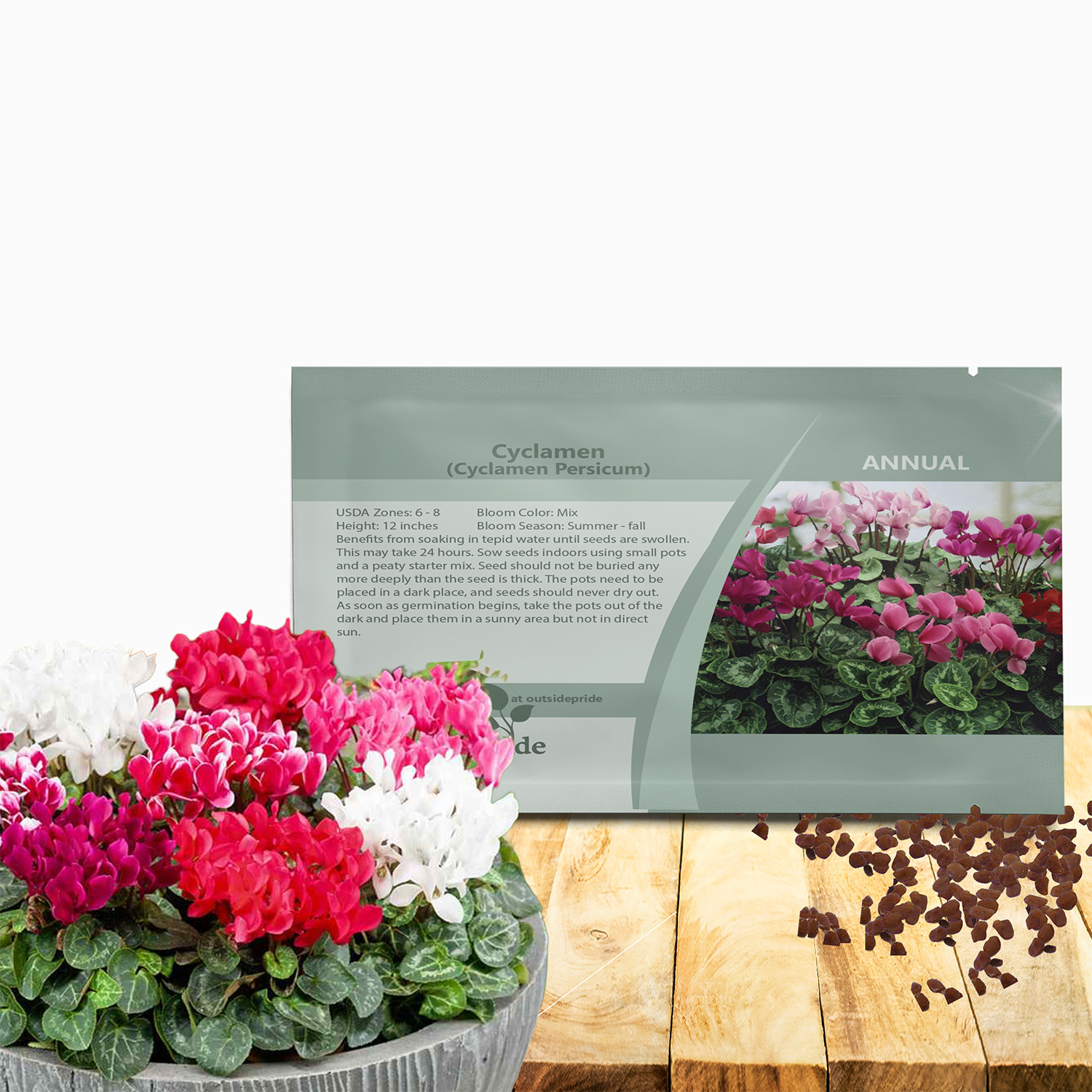 Cyclamen Persicum Seed Packet For Planting