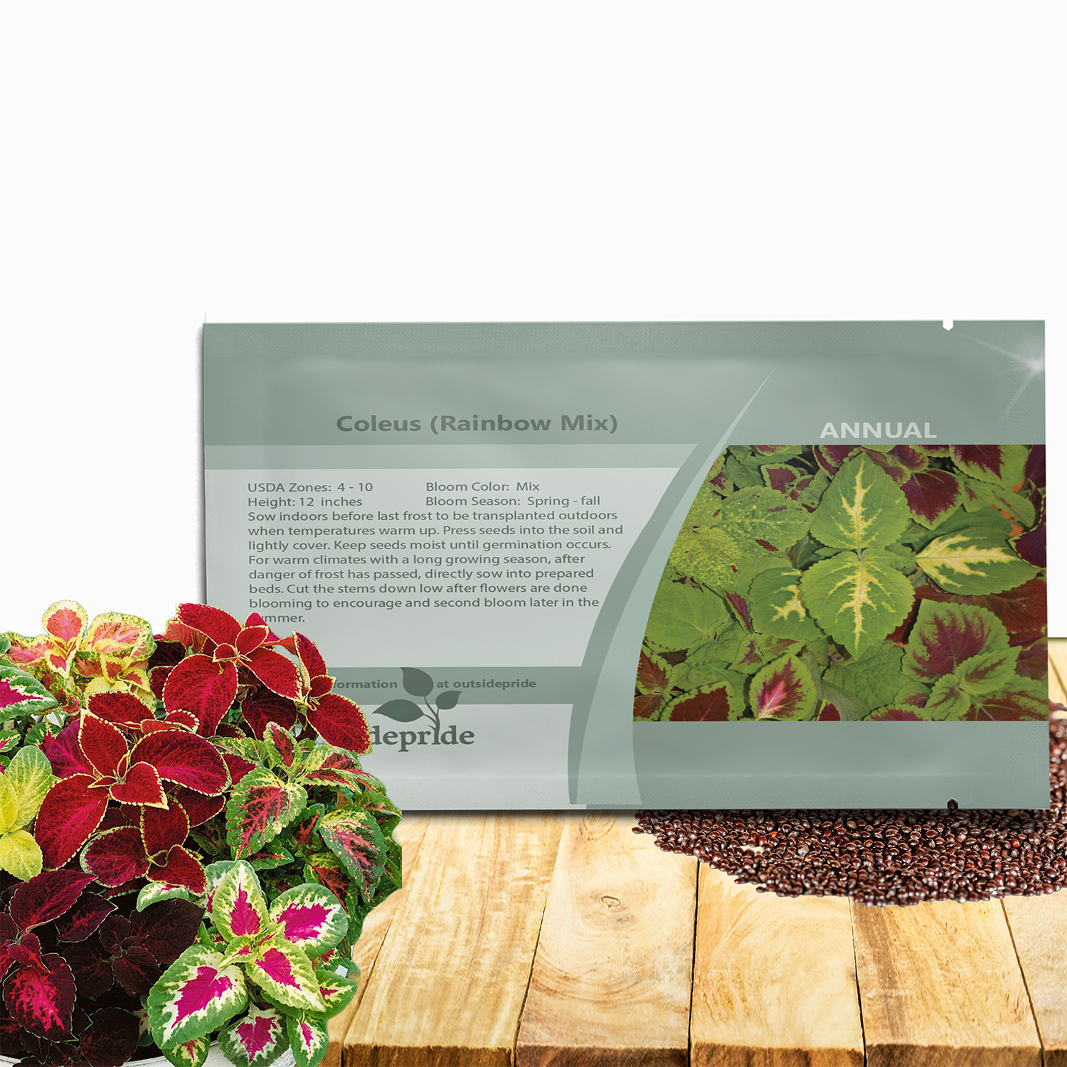 Coleus Rainbow Seed Packet Mix