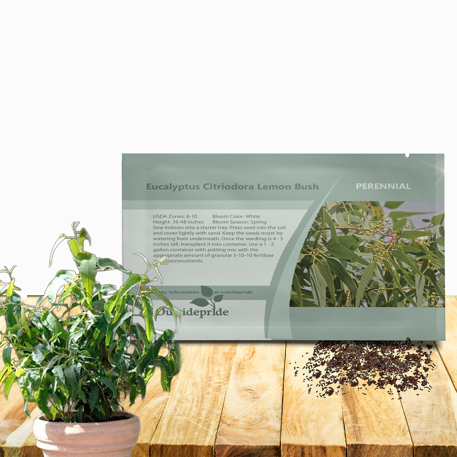 Eucalyptus Lemon Bush Flower Seed Packet For Planting