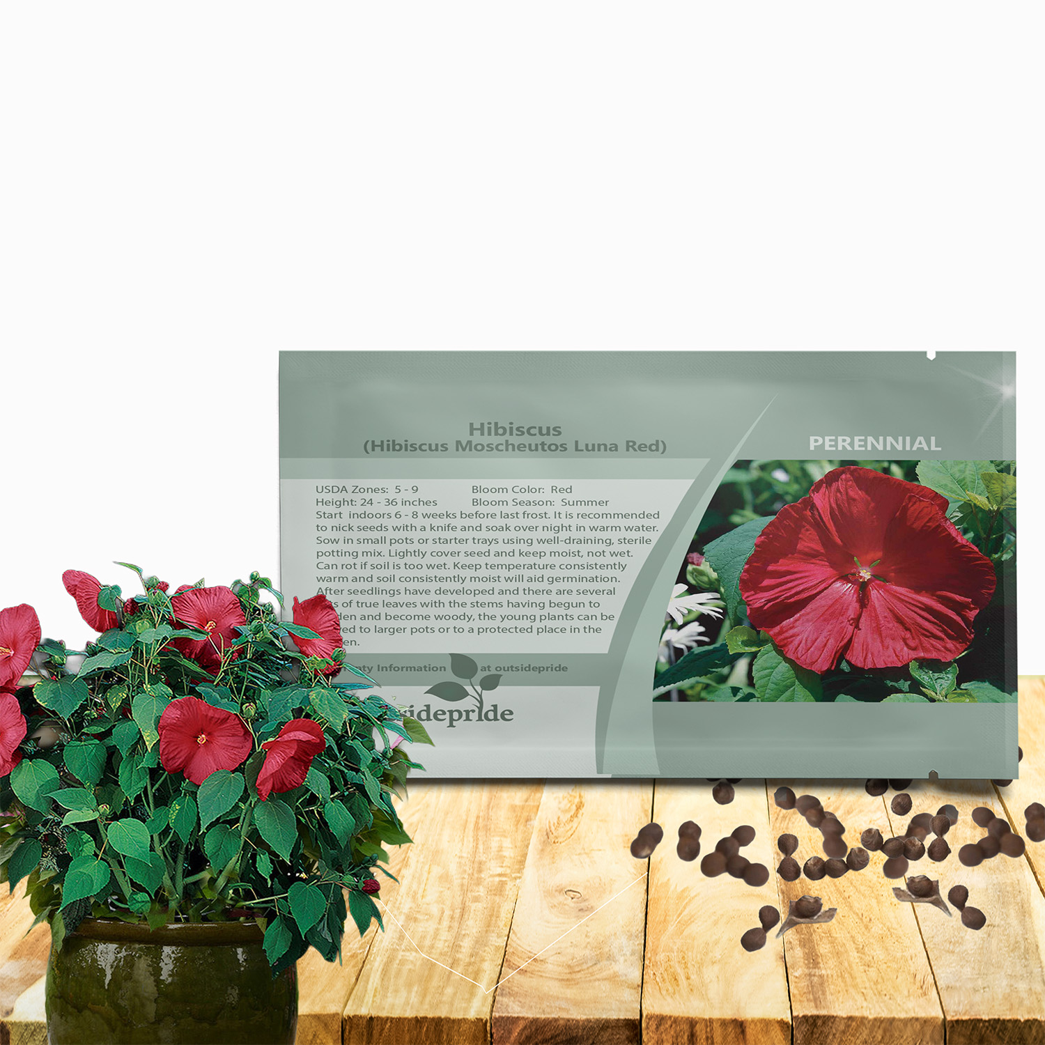 Hibiscus Red Seed Packet