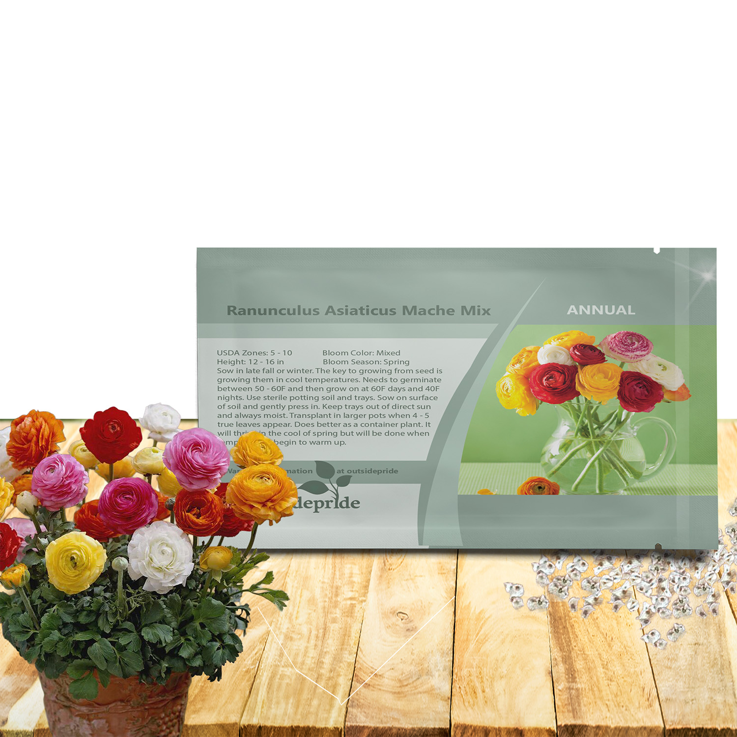 Ranunculus Mache Flower Seed Packet For Planting
