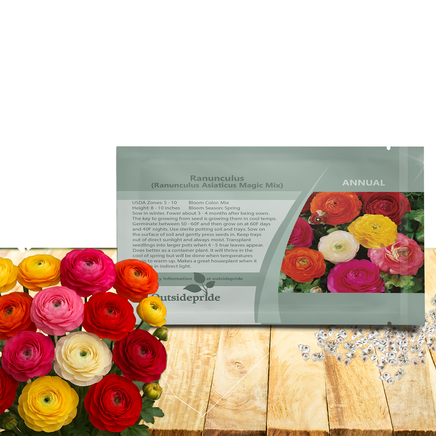 Ranunculus Asiaticus Magic Mix For Planting