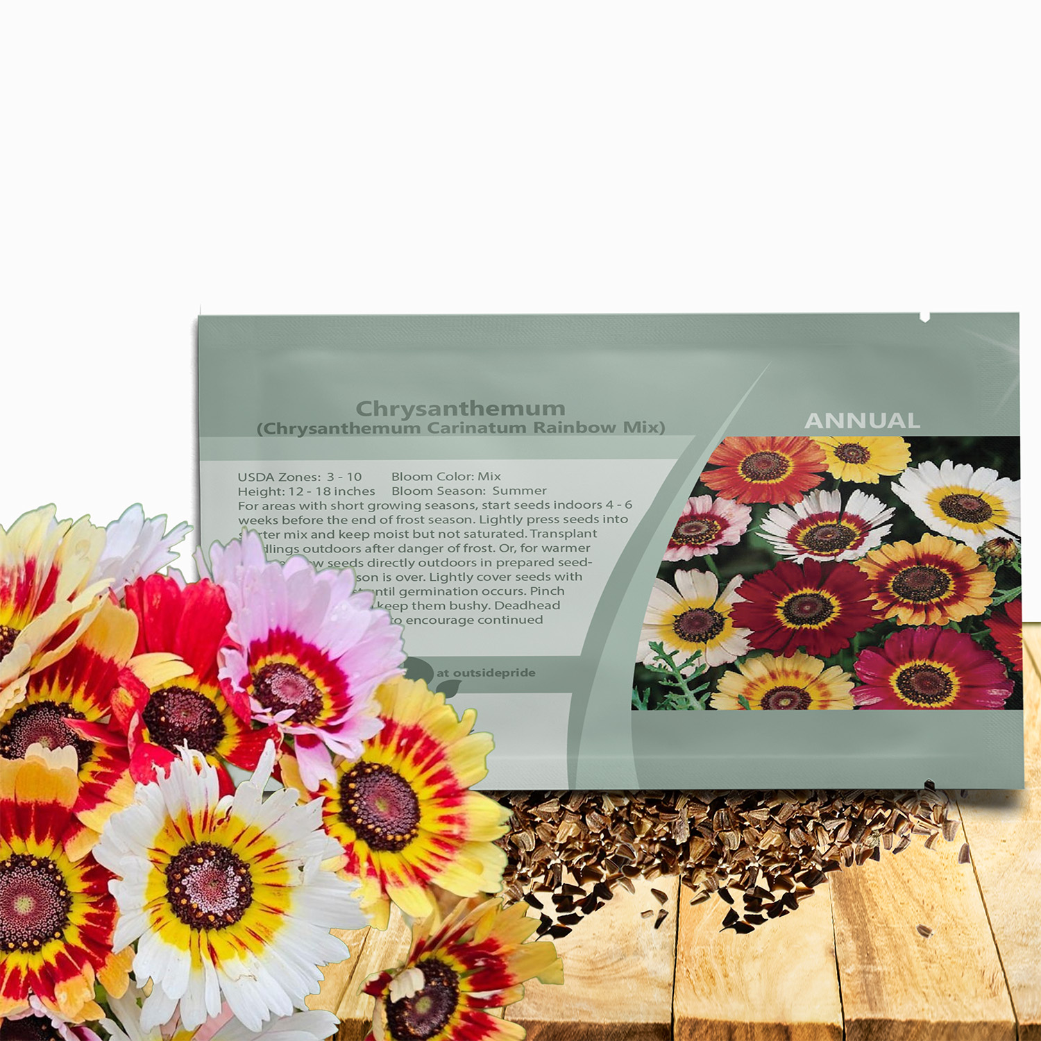 Chyrsanthemum Rainbow Seed Packet