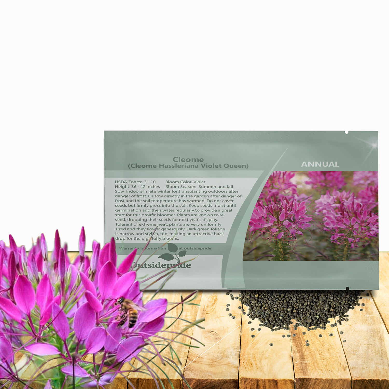 Cleome Violet Flower Seed Packet For planting