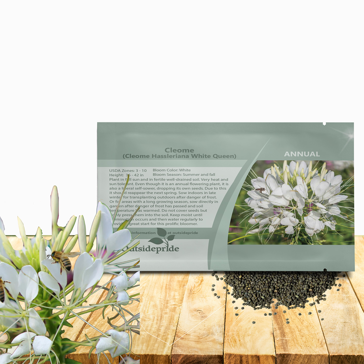 Cleome White Flower Seed Packet For Planting