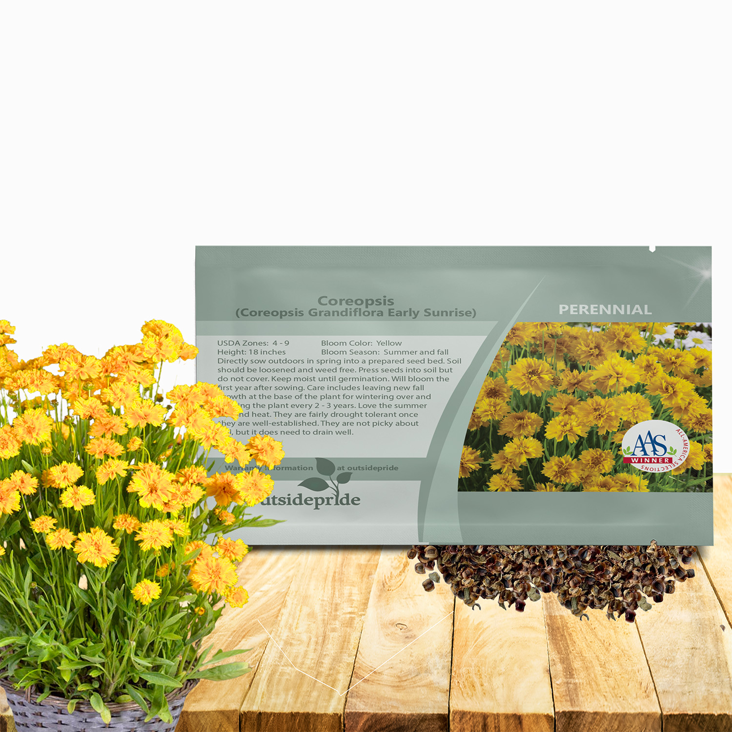 Coreopsis Early Sunrise Seed Packet For Planting