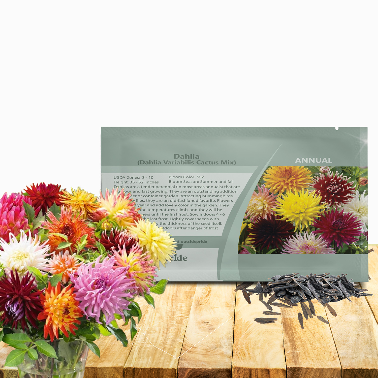 Dahlia Cactus Flower Seed Packet