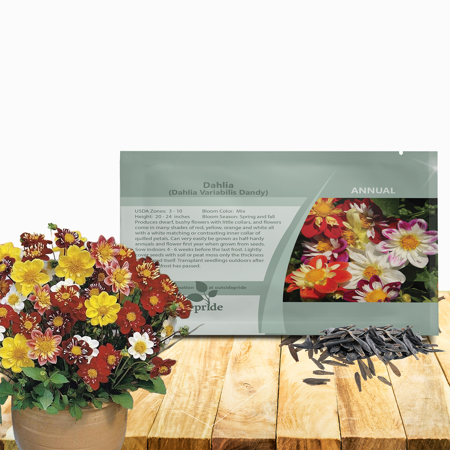 Dahlia Dandy Seed Packet Mix