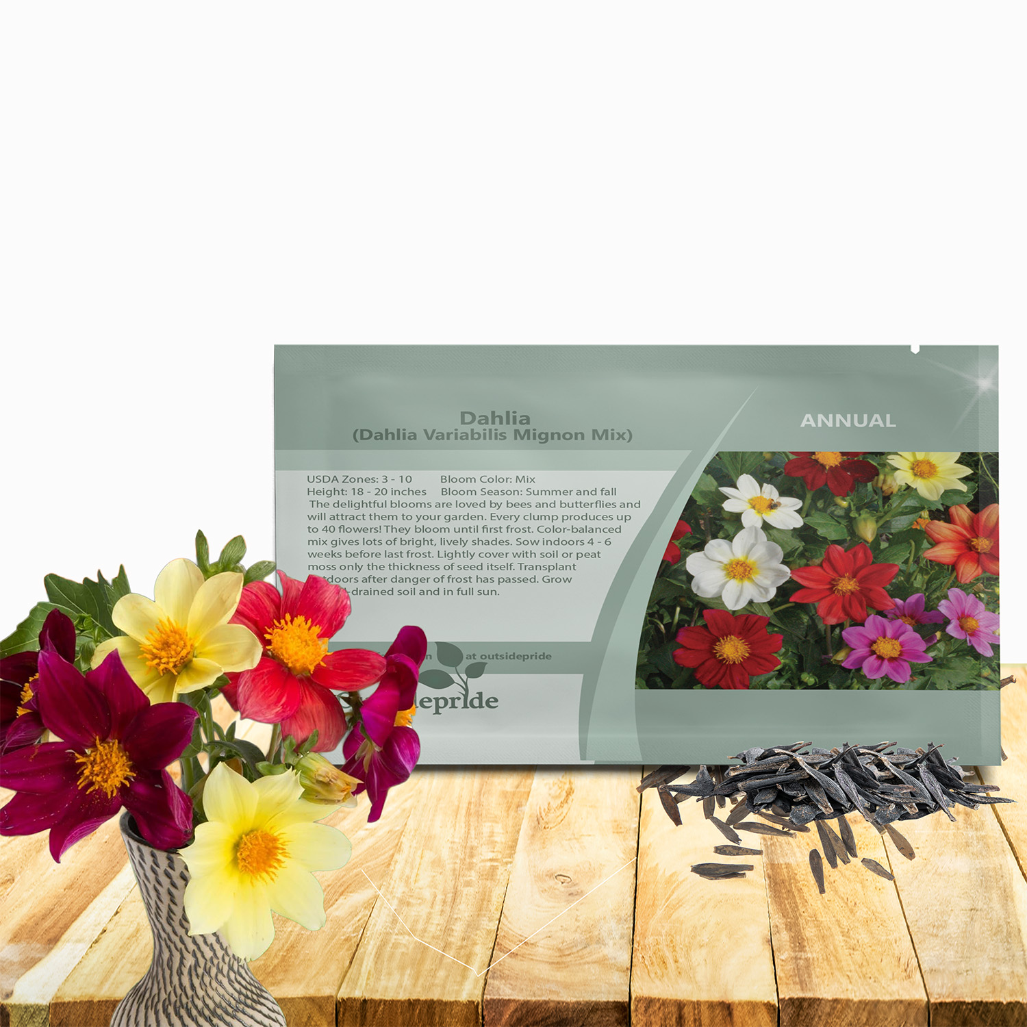 Dahlia Mignon Mix Seed Packet For Planting