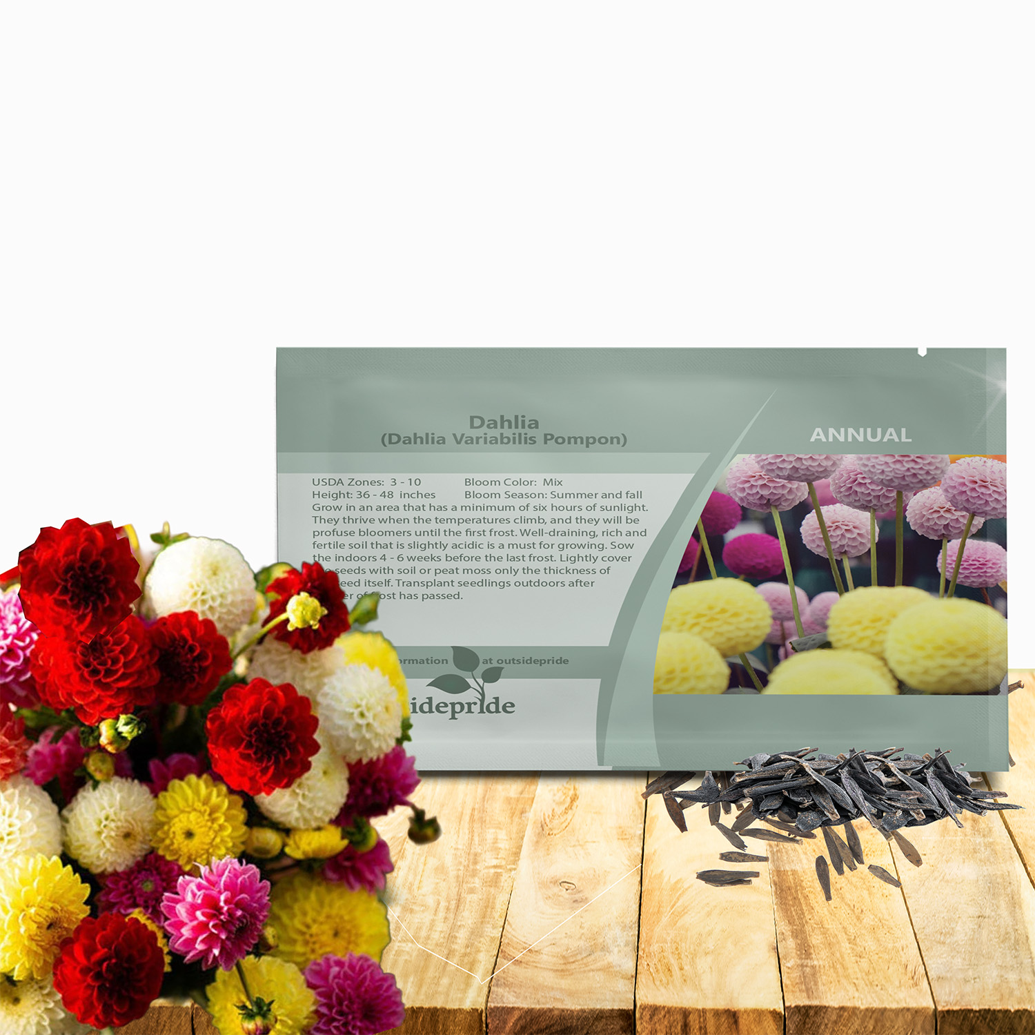 Dahlia Pompon Seed Packets