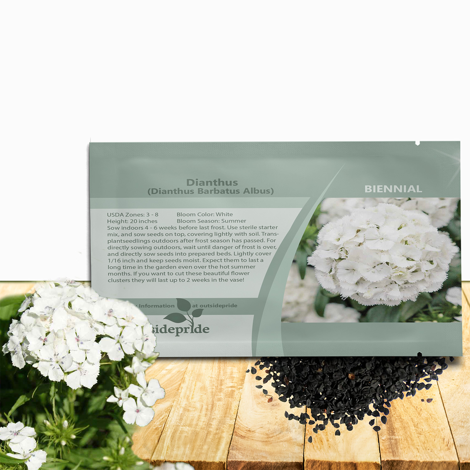 Dianthus Albus Flower Seed Packets