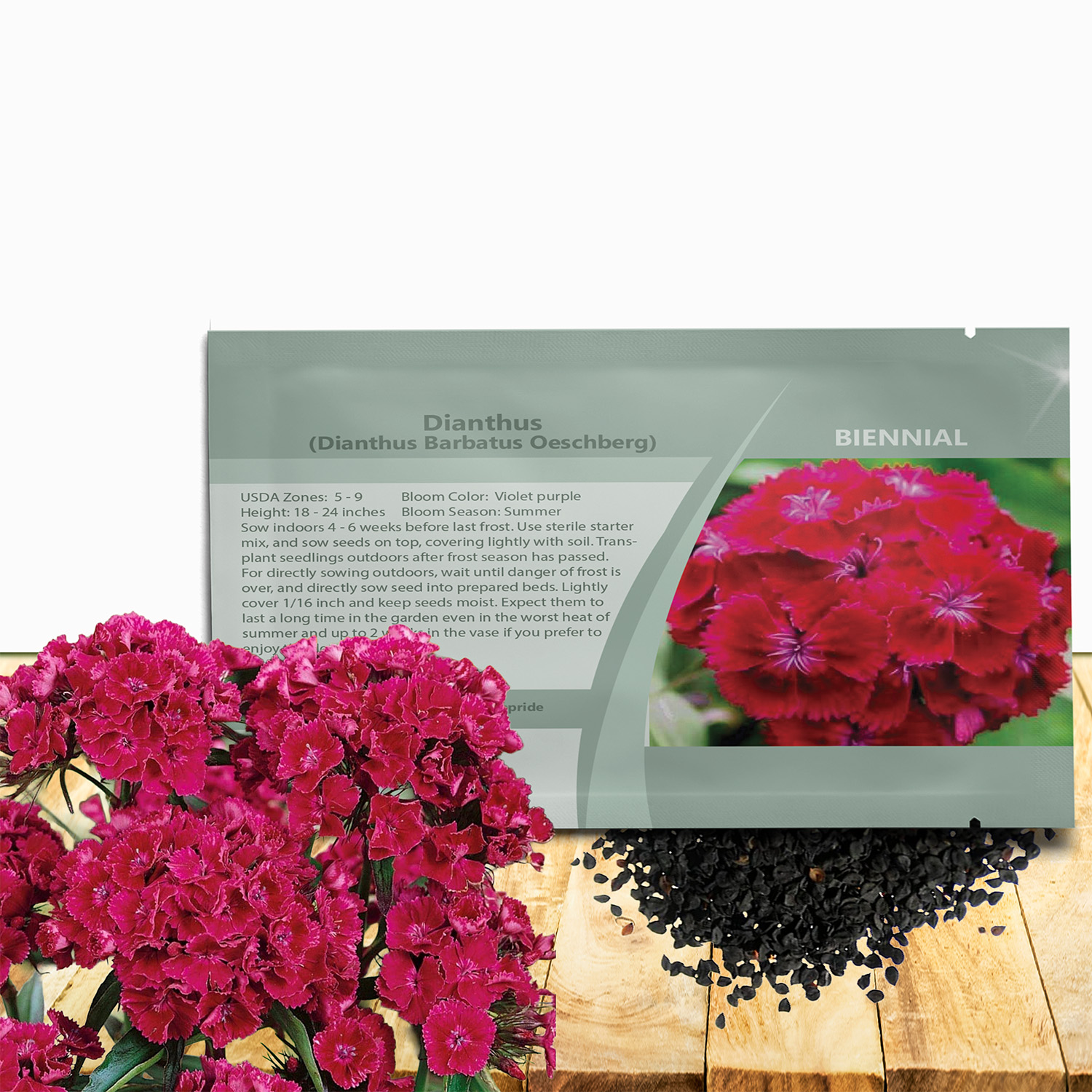 Dianthus Oeschberg Flower Seed Packet