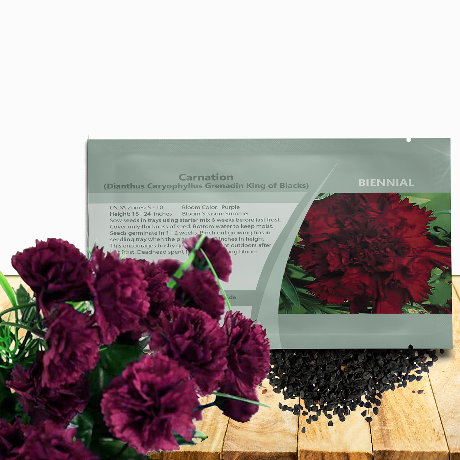 Carnation King of Blacks Seed Packet
