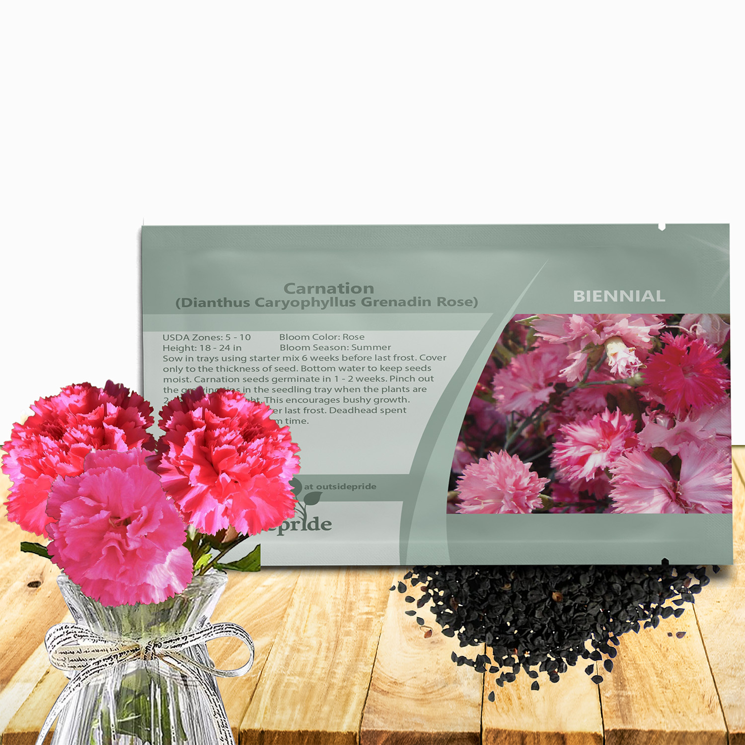 Carnation Rose Seed Packet For Planting