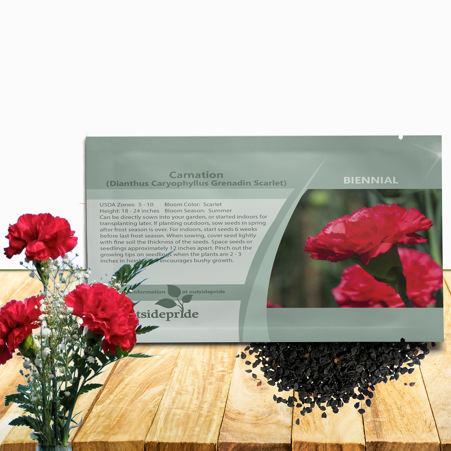 Carnation Scarlet Seed Packet