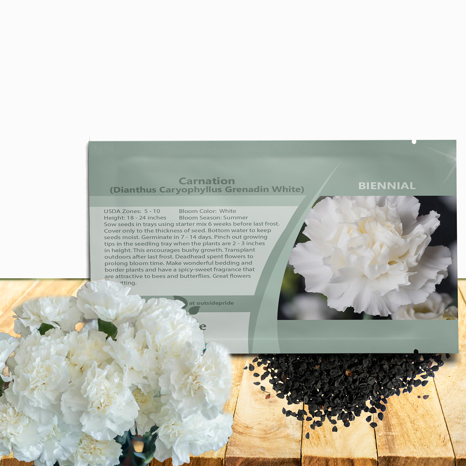 Carnation White Seed Packet