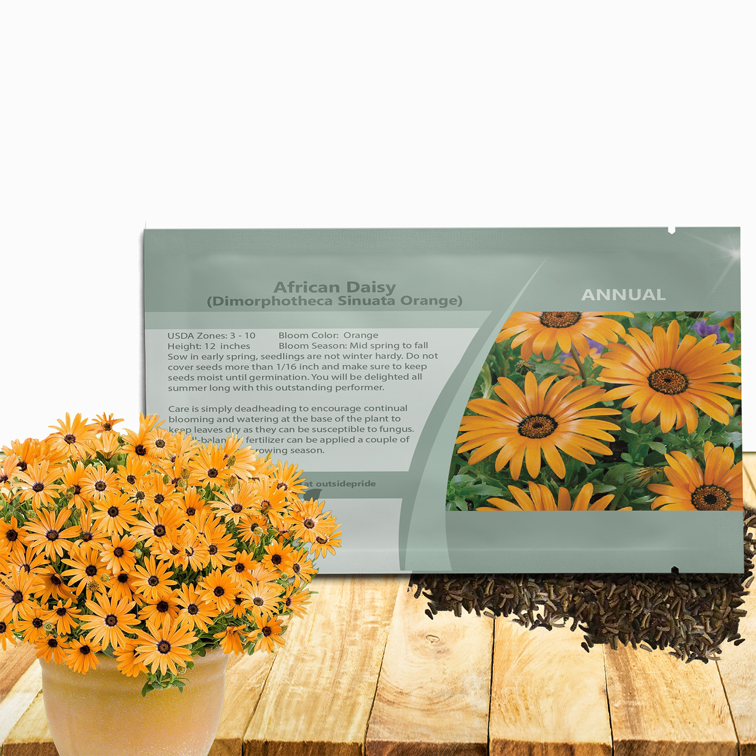 African Daisy Orange Wildflower Seed Packet
