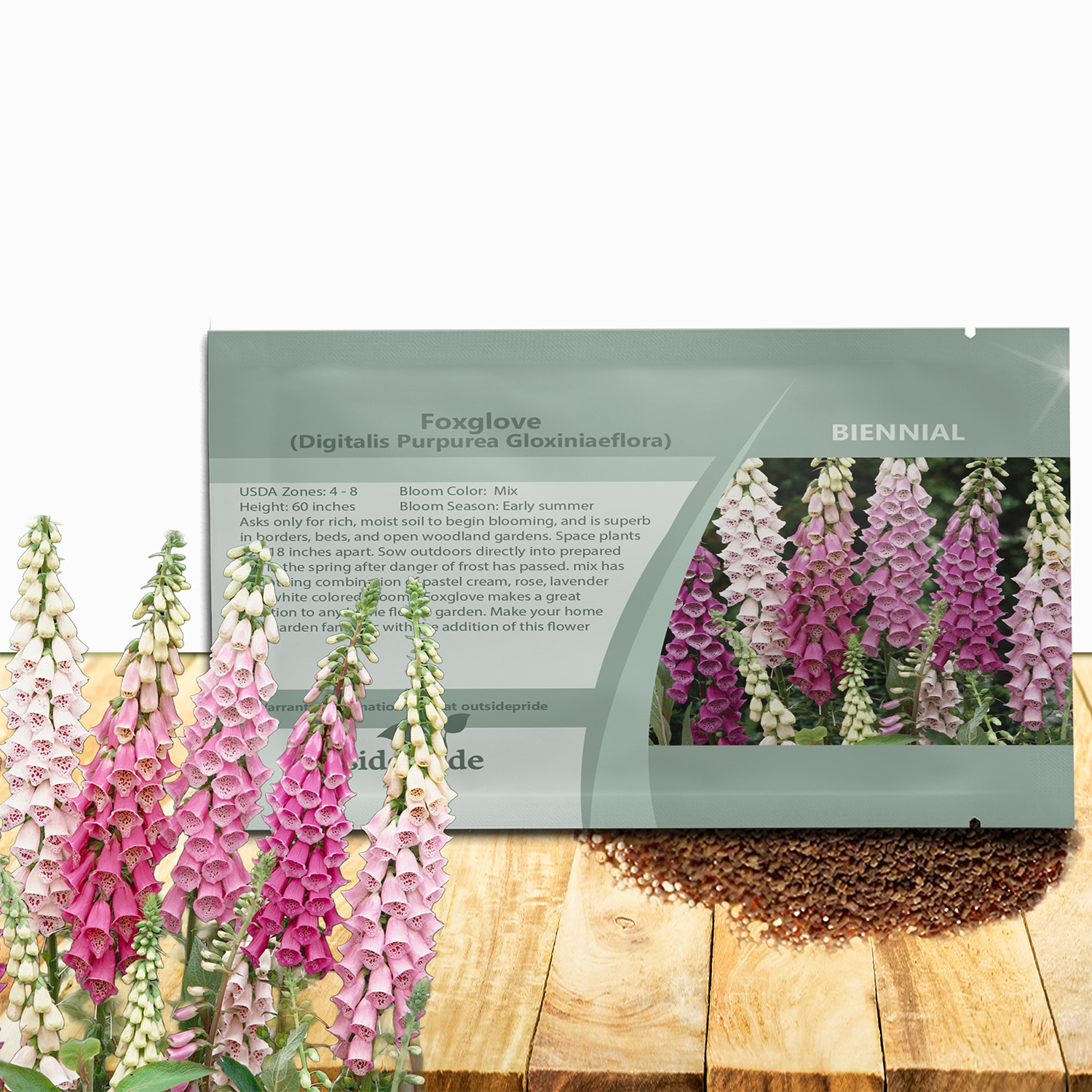 Foxglove Gloxiniaeflora Flower Seed Mix Packet For Planting