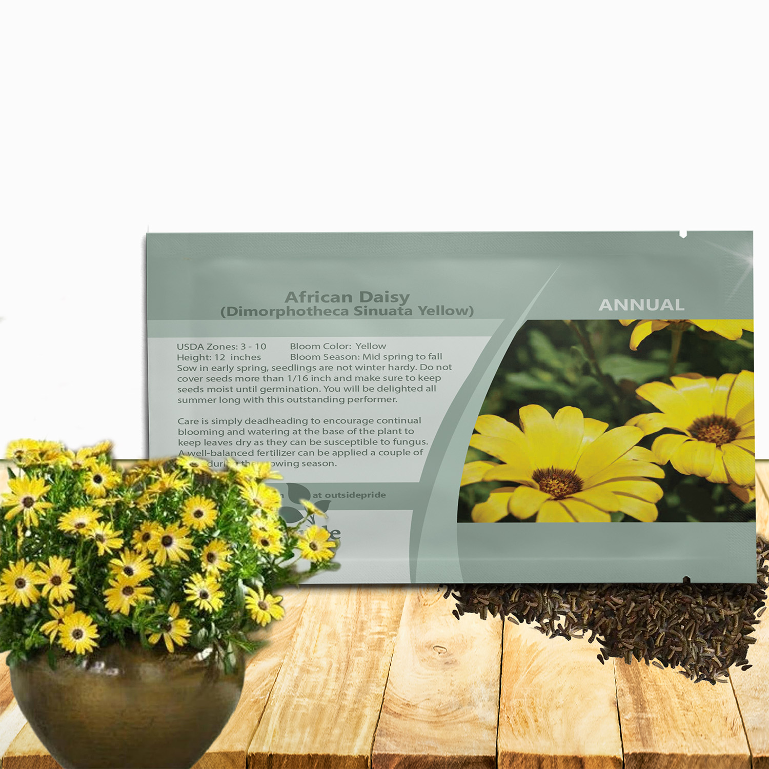 African Daisy Yellow Seed Packet
