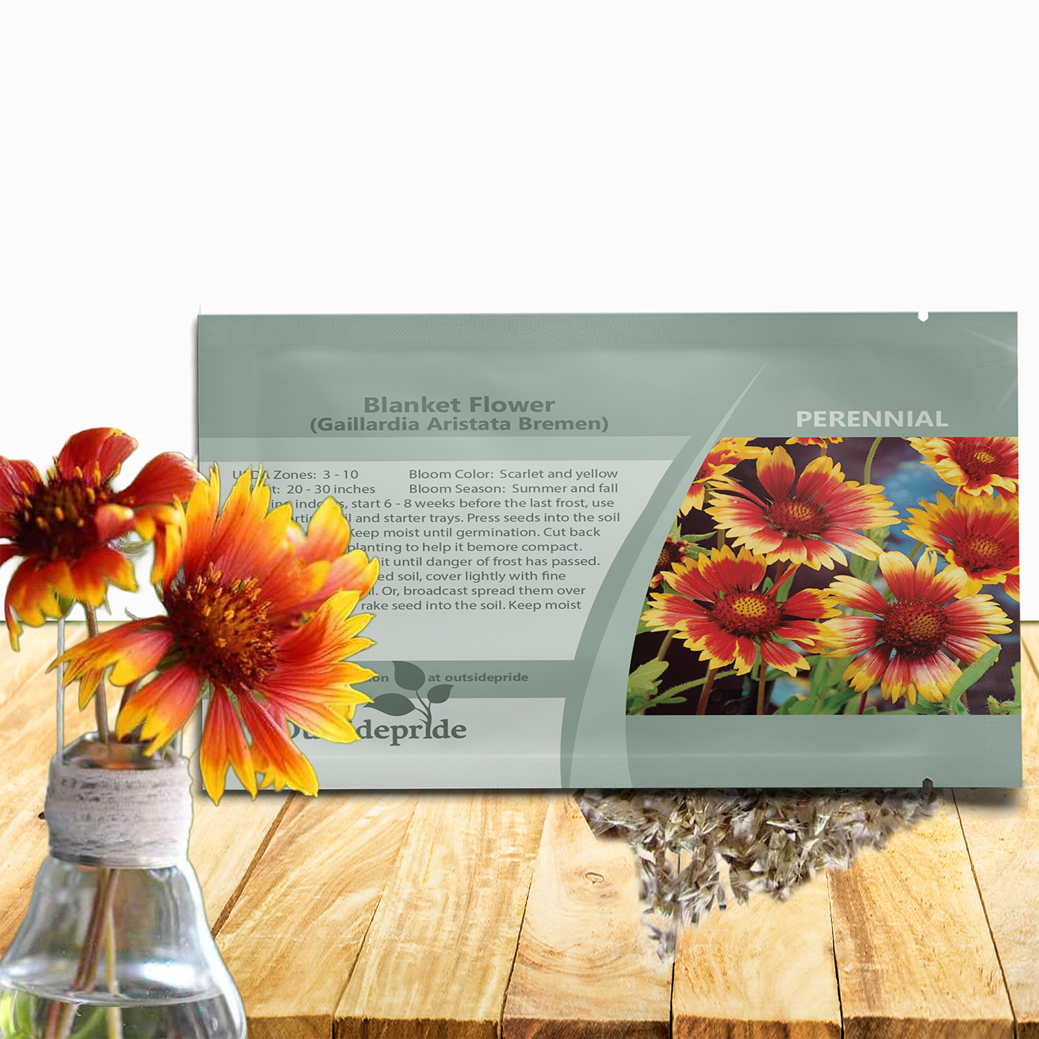 Gaillardia Bremen Garden Seed Packet