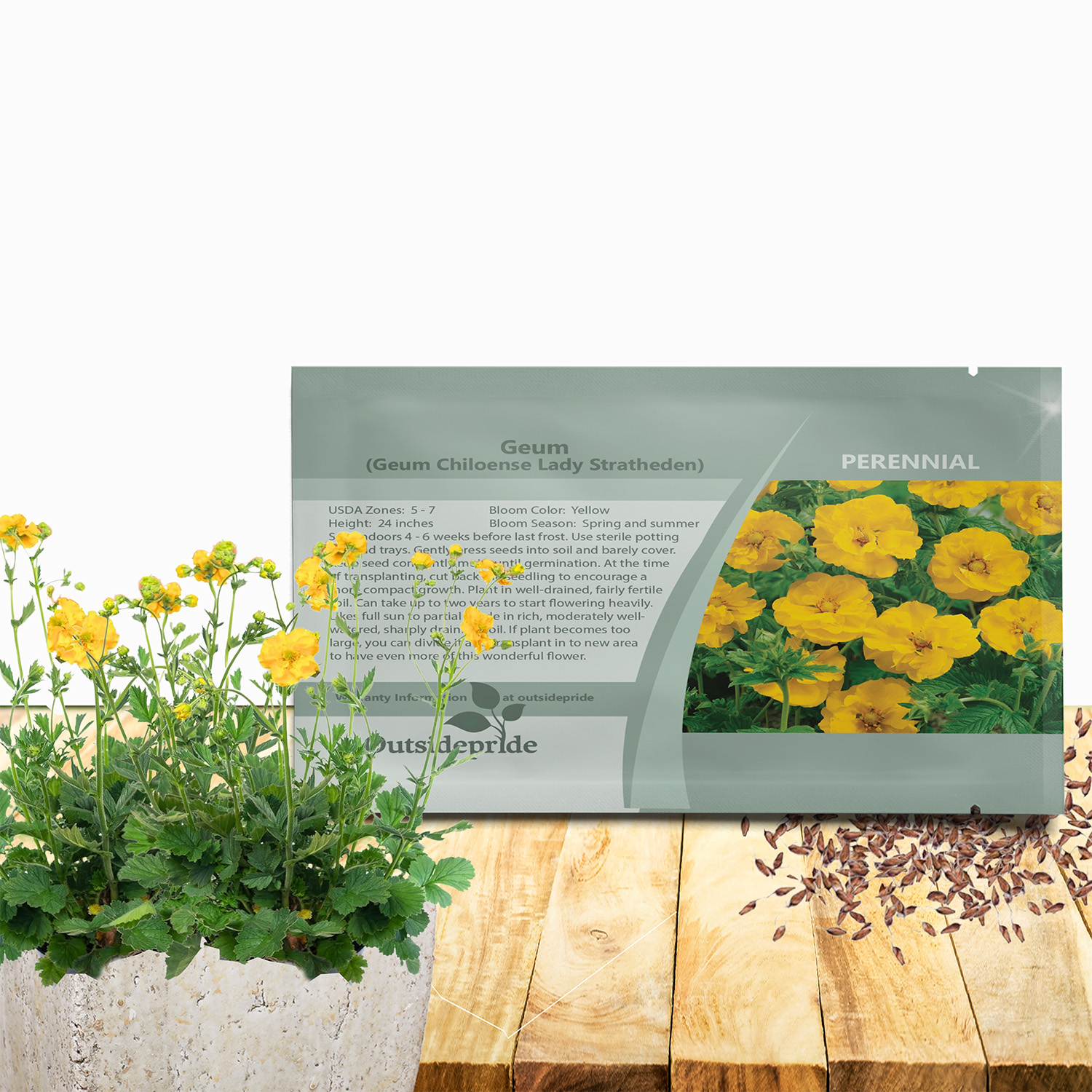 Geum Lady Yellow Flower Seed Packet For Planting