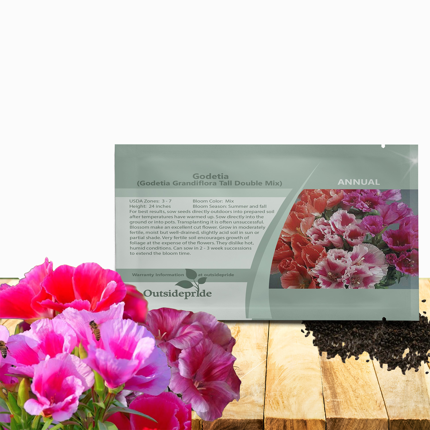 Godetia Tall Flower Seed Packet For Planting