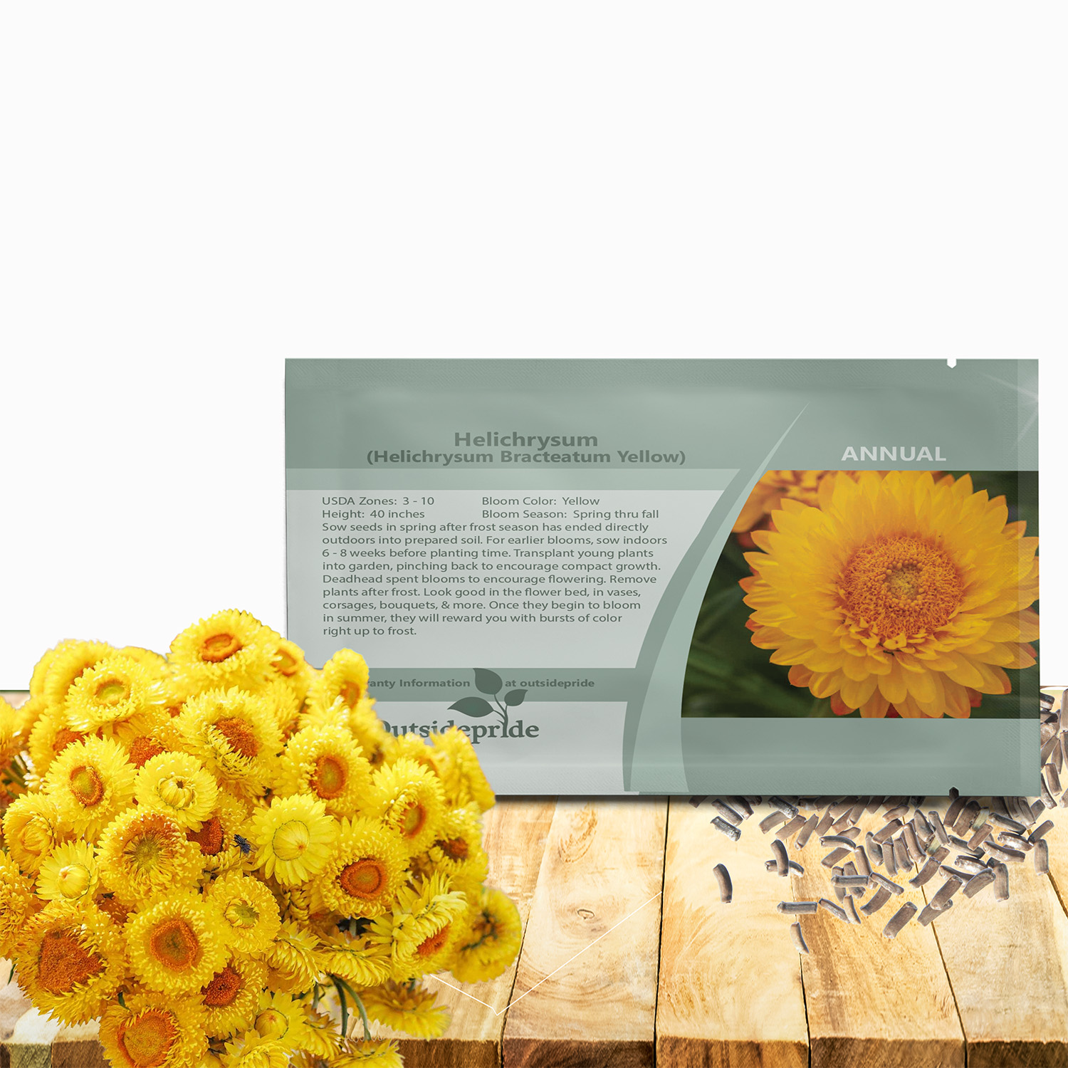Helichrysum Yellow Seed Packet