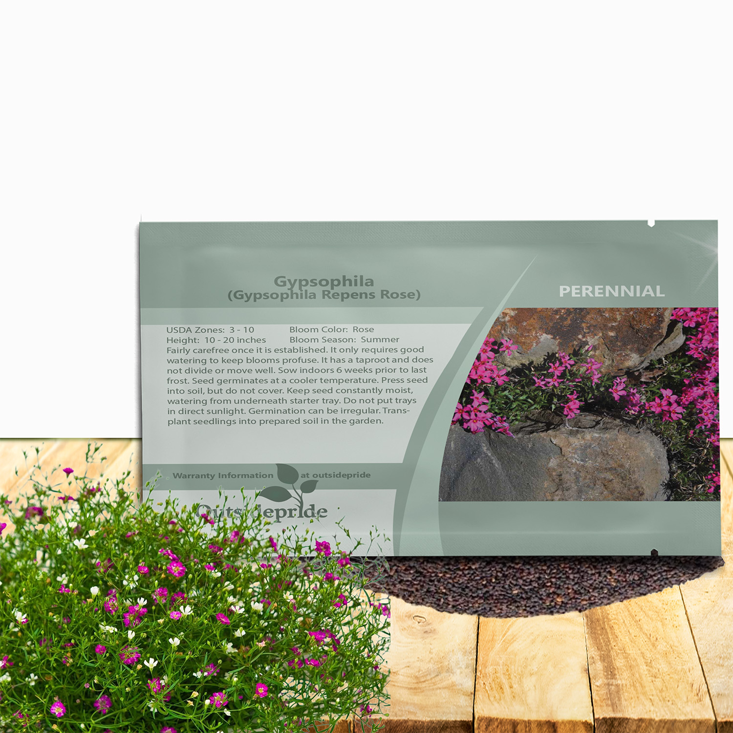 Gypsophila Rose Flower Seed Packet