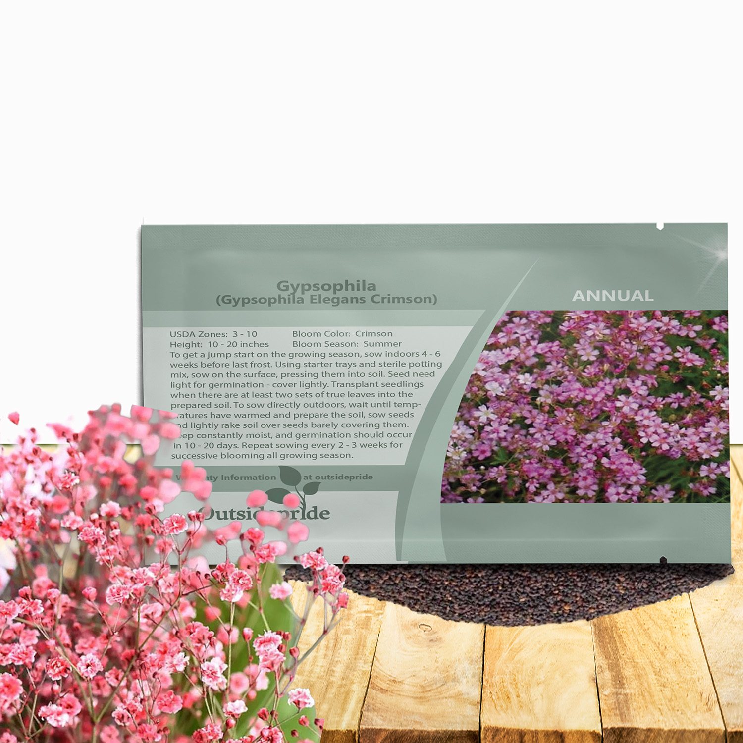 Gypsophila Crimson Flower Seed Packet for Planting