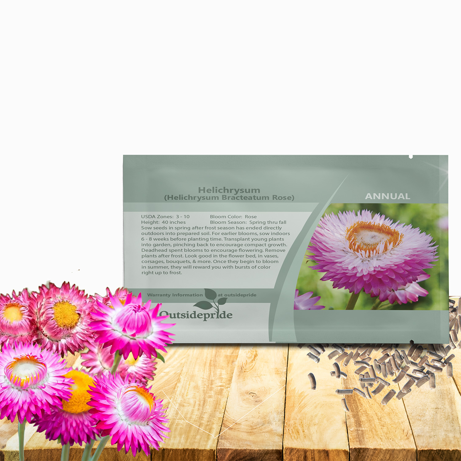 Straw Flower Rose Seed Packet For Planting