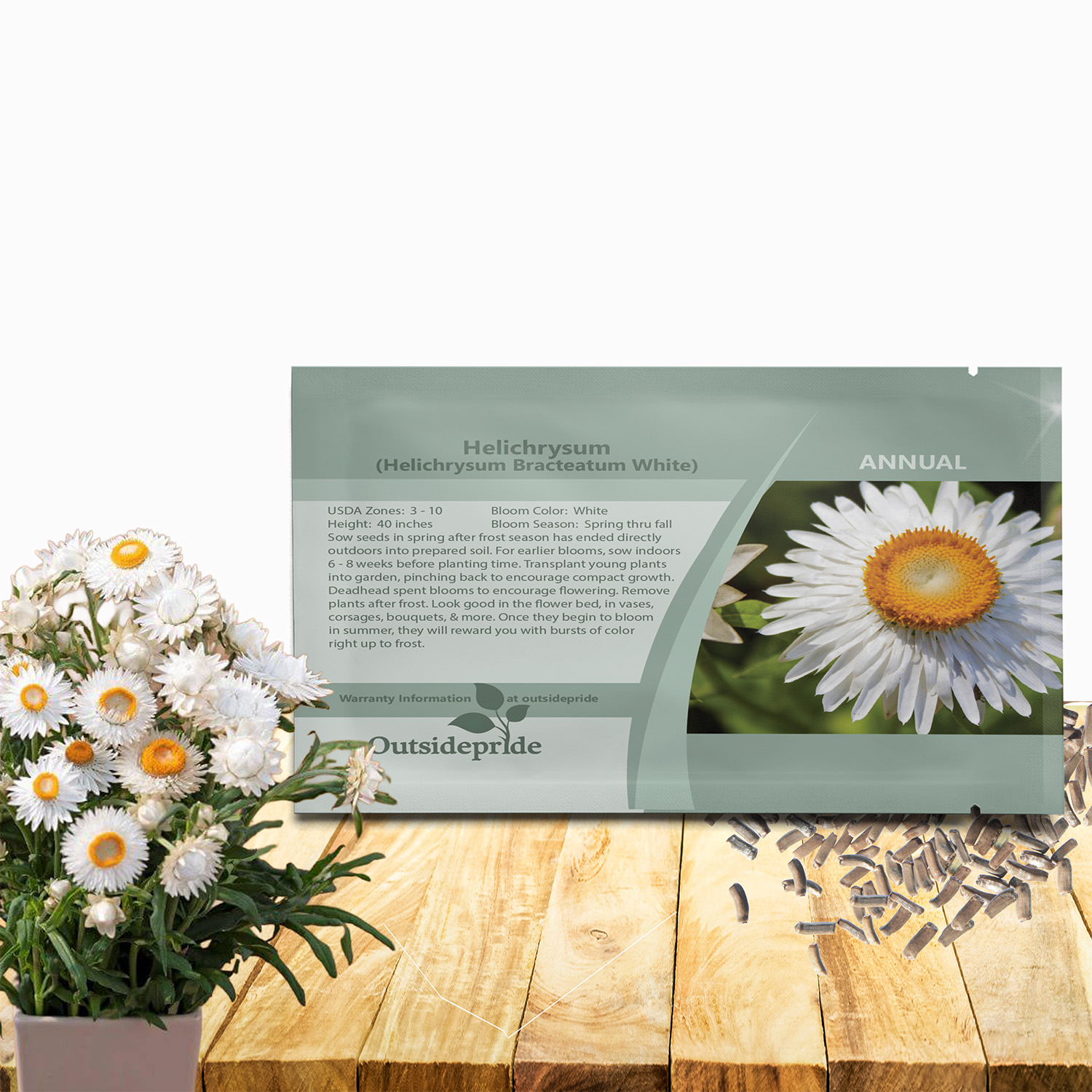 Helichrysum Bracteatumm White Seed Packet