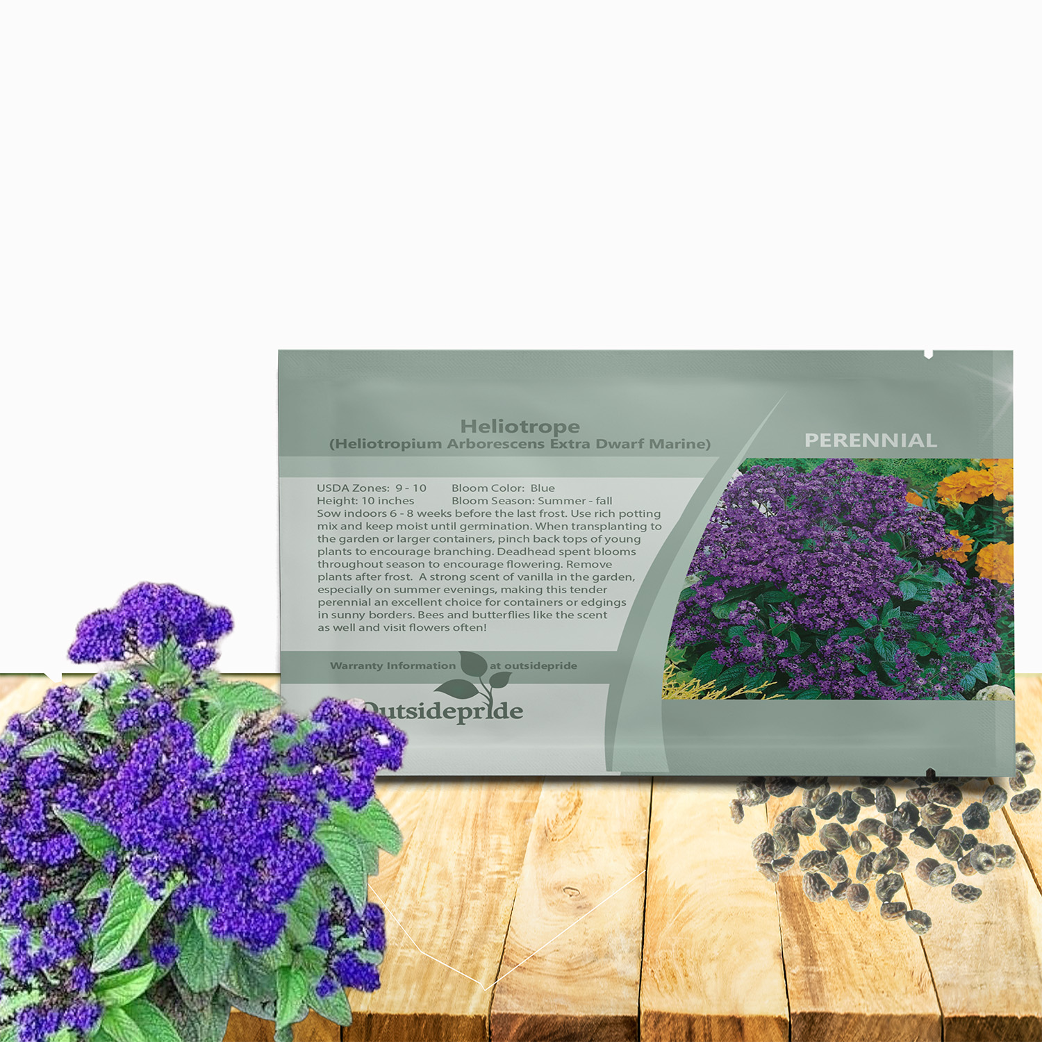 Heliotropium Flower Seed Packet For Planting