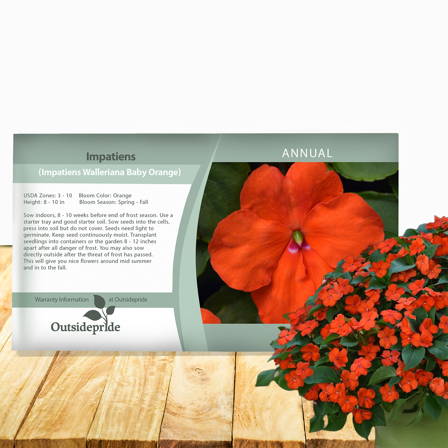 Impatiens Orange Seed Packet