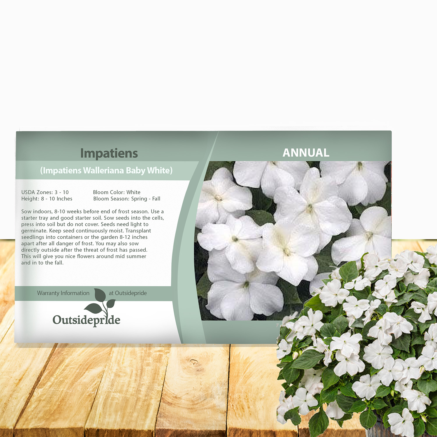 Impatiens White Seed Packet
