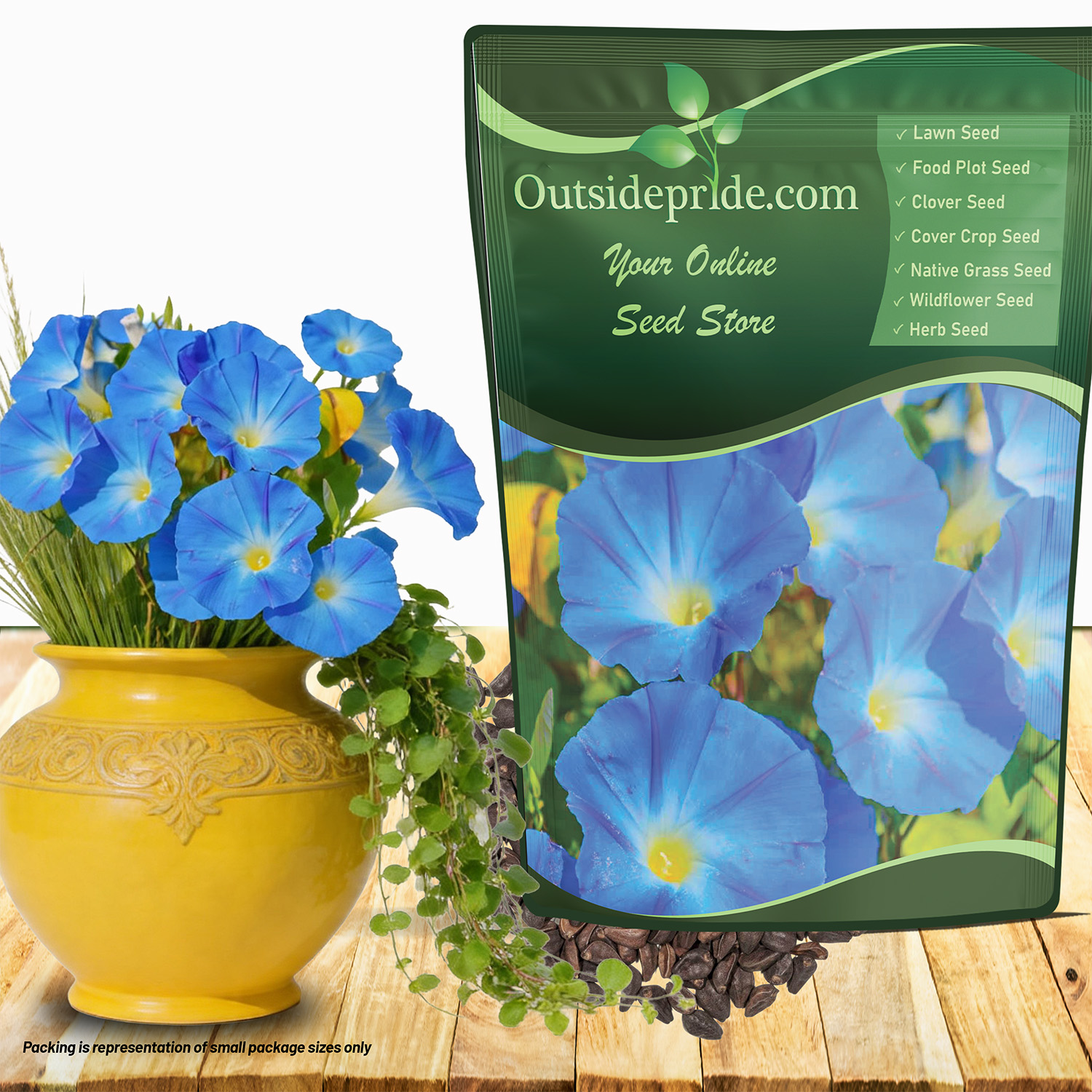 Heavenly Blue Morning Glory Seed Packet