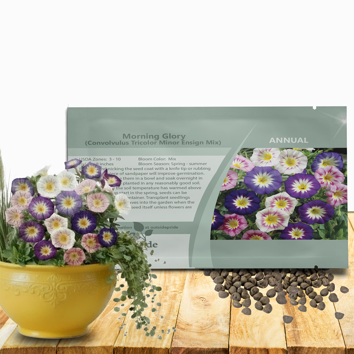 Ensign Mix Morning Glory Seed Packet