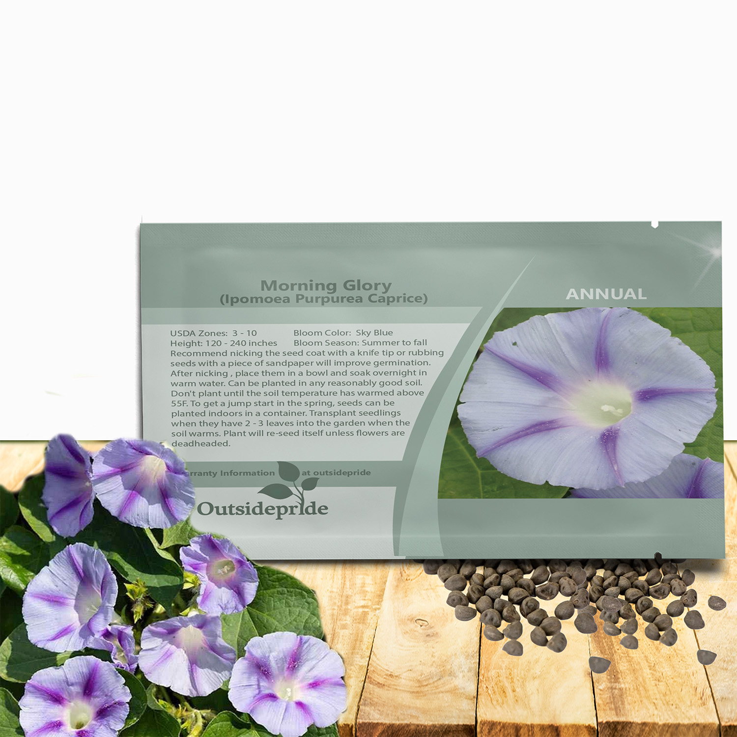Ipomoea Purpurea Caprice Seed Packets