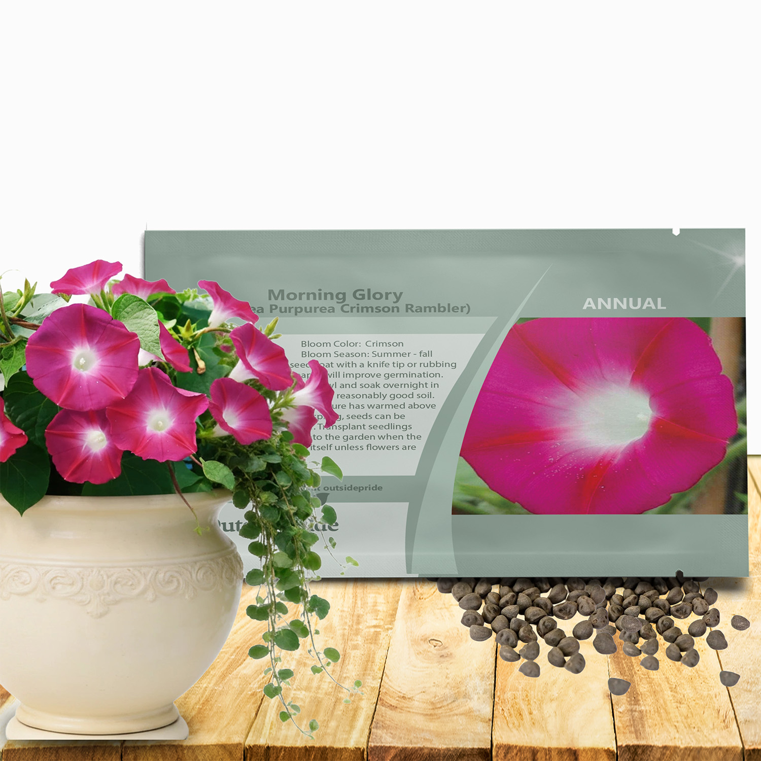 Morning Glory Crimson Rambler Seed Packet
