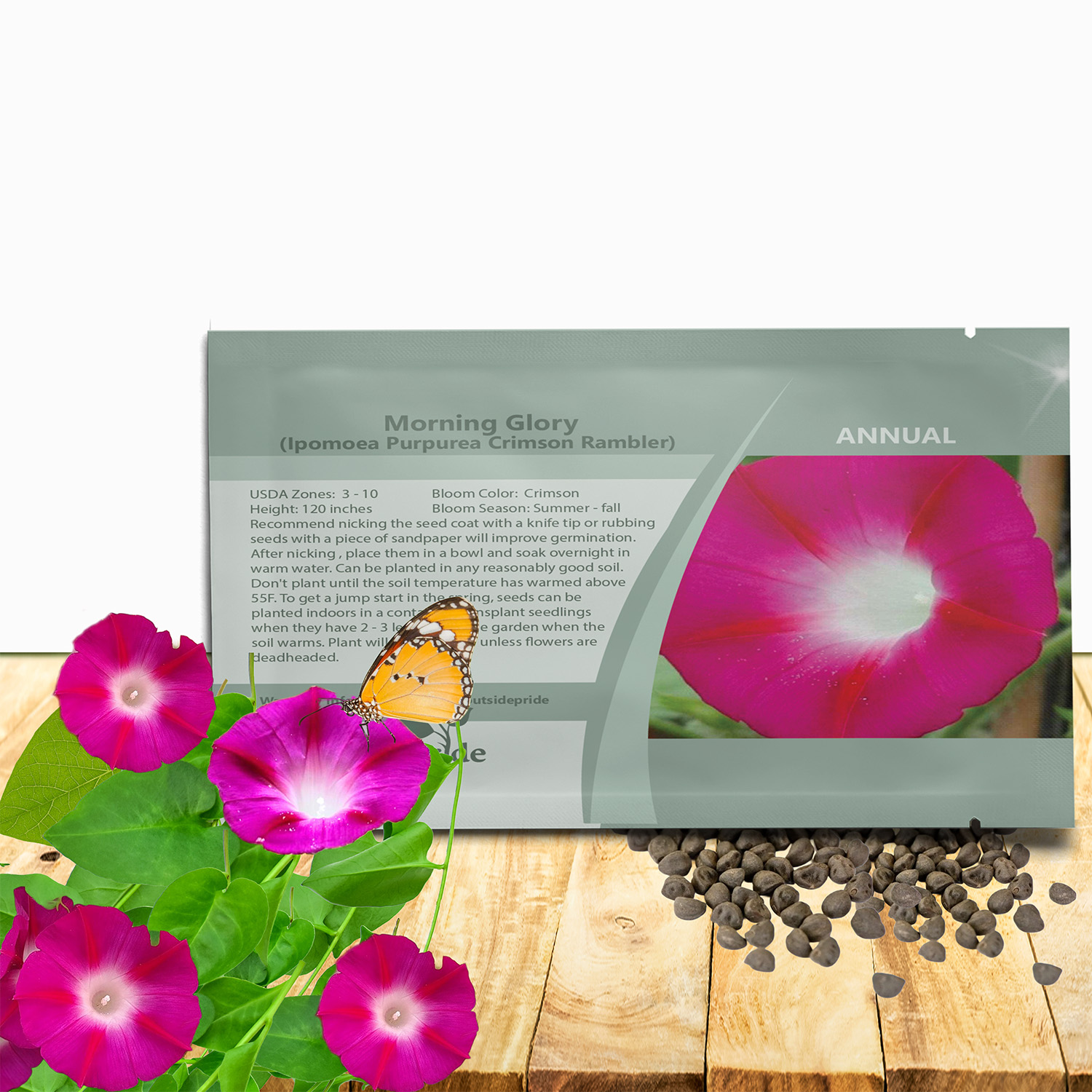 Morning Glory Crimson Rambler Seed Packet