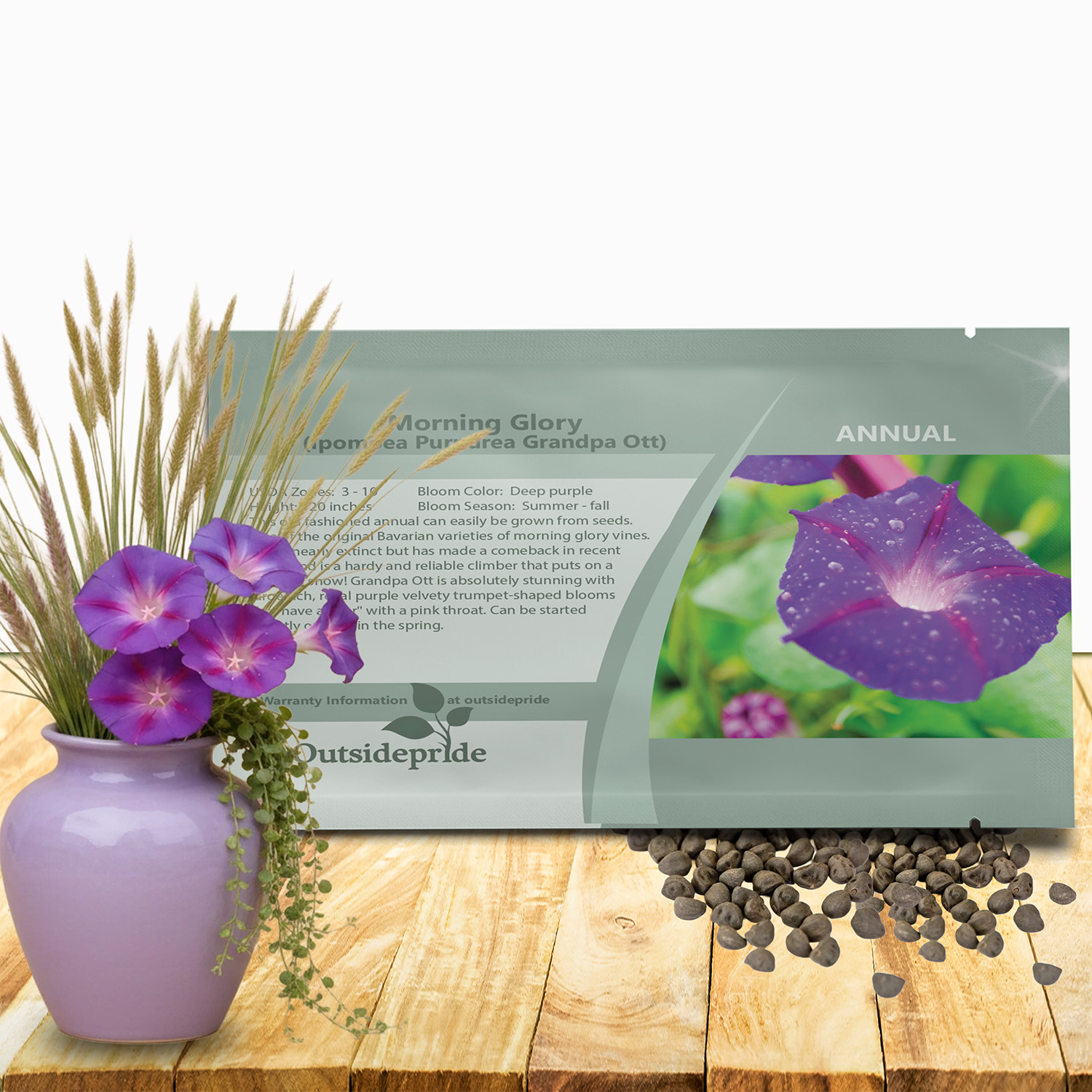 Morning Glory Grandapa Ott Seed Packet