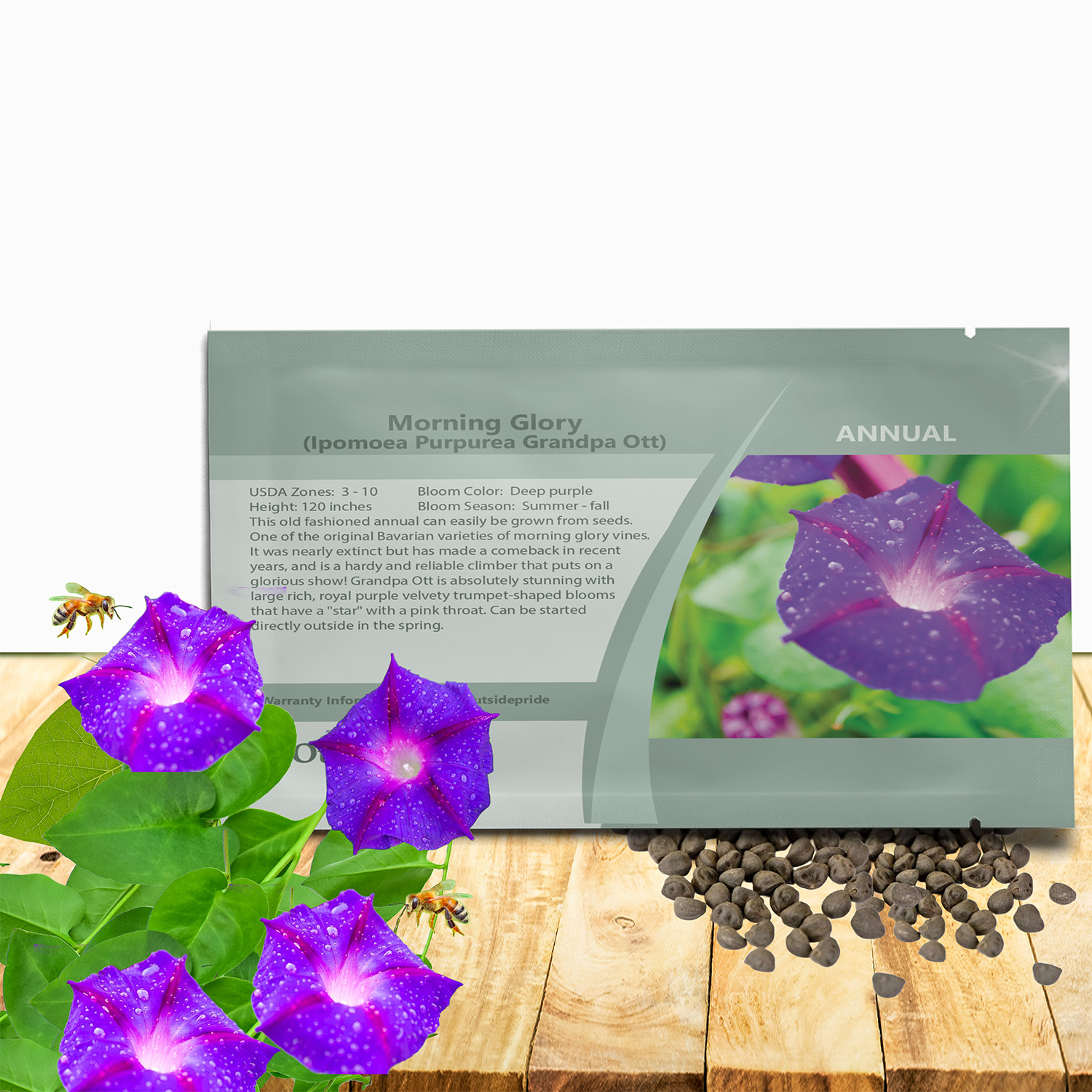 Morning Glory Grandapa Ott Seed Packet