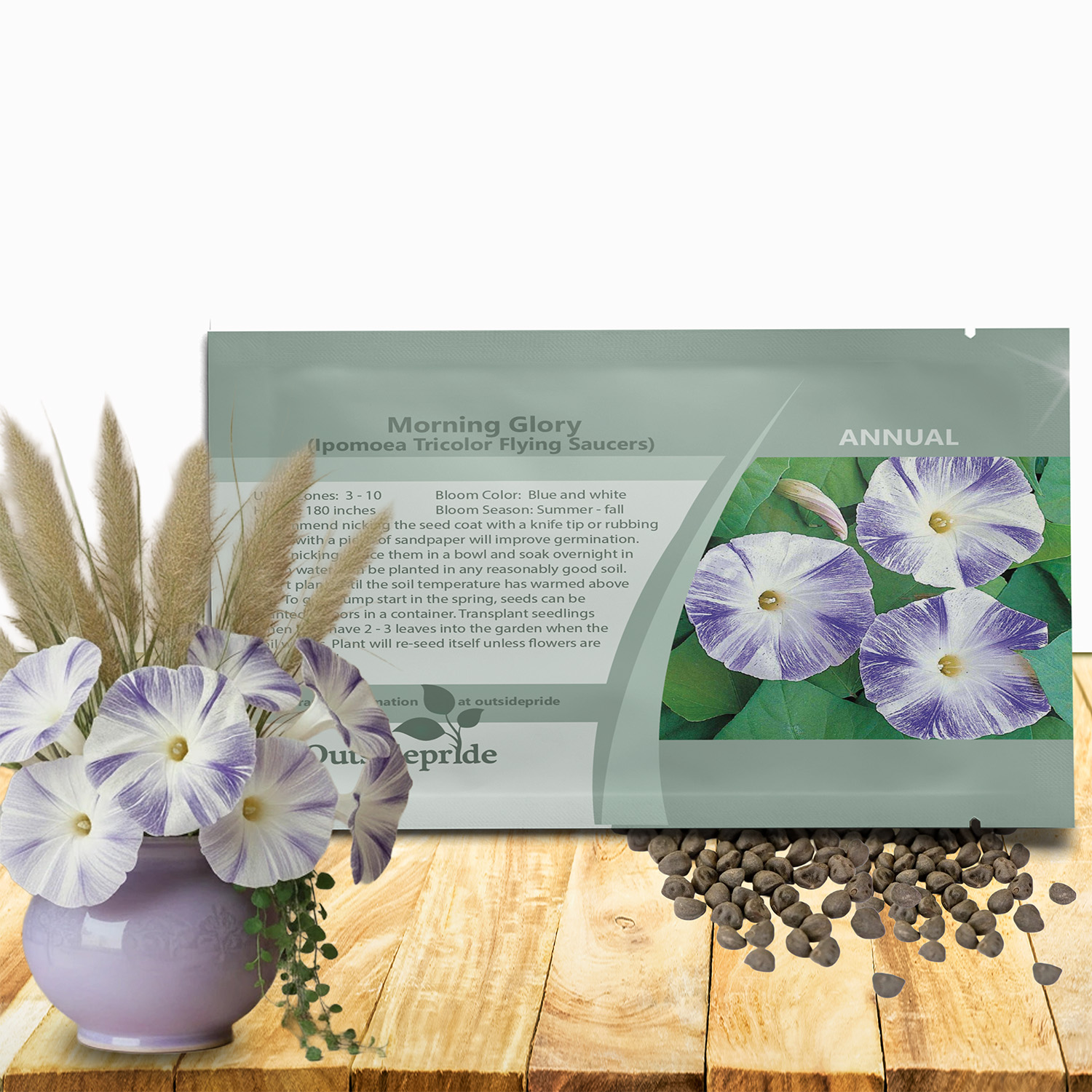 Morning Glory Seeds - Flying Saucers Flower Seed